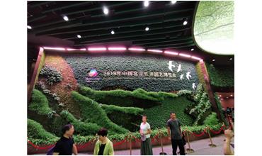 2019北京世園會，我們來啦